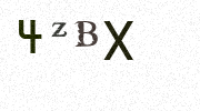 Visual Confirmation Security Code