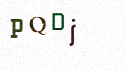 Visual Confirmation Security Code