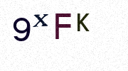 Visual Confirmation Security Code