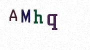 Visual Confirmation Security Code