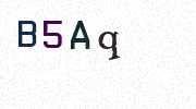 Visual Confirmation Security Code