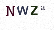 Visual Confirmation Security Code