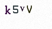 Visual Confirmation Security Code