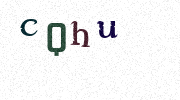 Visual Confirmation Security Code