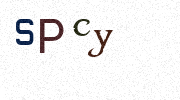 Visual Confirmation Security Code