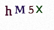 Visual Confirmation Security Code