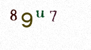 Visual Confirmation Security Code