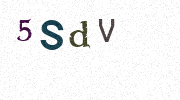 Visual Confirmation Security Code