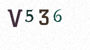 Visual Confirmation Security Code