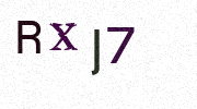Visual Confirmation Security Code